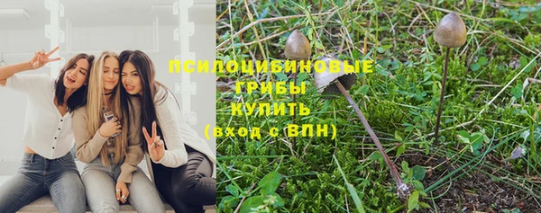 первитин Нязепетровск