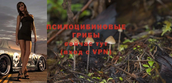 ALPHA-PVP Новозыбков