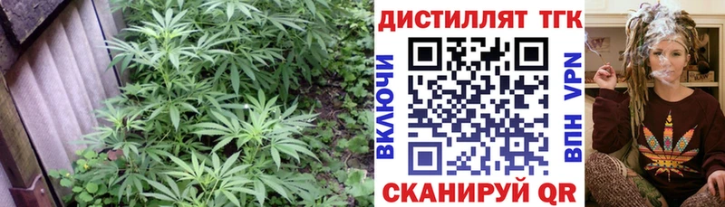 Дистиллят ТГК гашишное масло  Новоузенск 