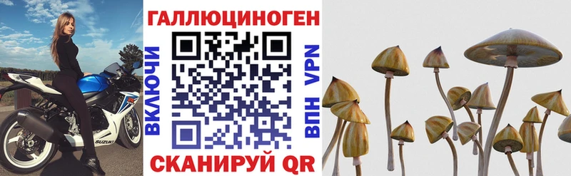 Галлюциногенные грибы мицелий  Новоузенск 